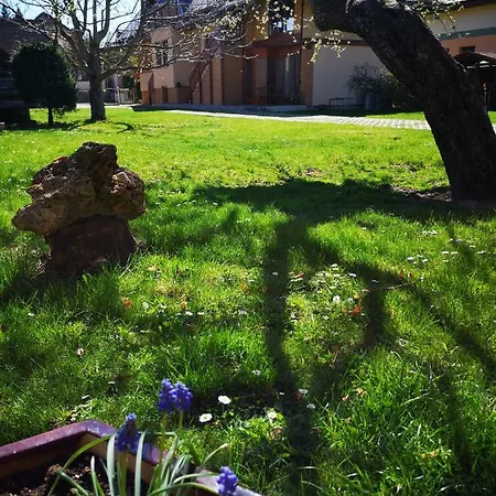 Vcielka * Bešeňová